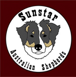 Sunstar Australian Shepherds
